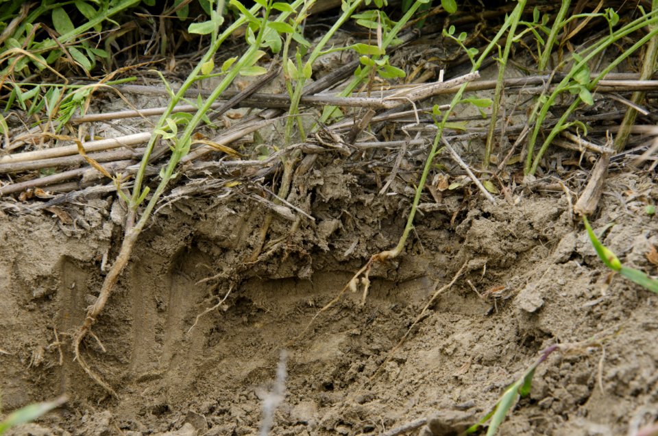 Crop Residue Management NR 25