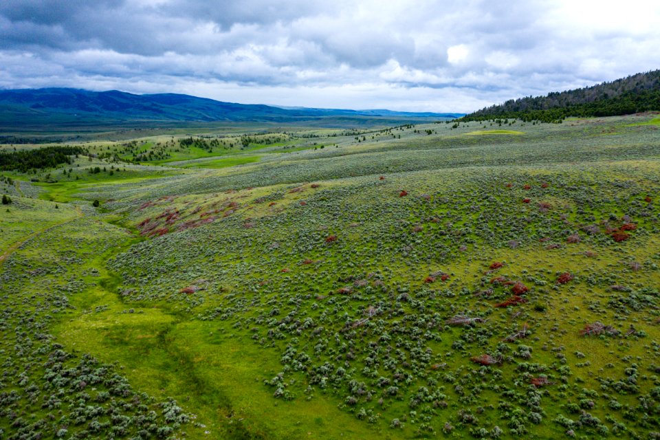 Jgibson Day3 0087 DJI 0661