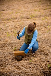 3114 NRCS projects