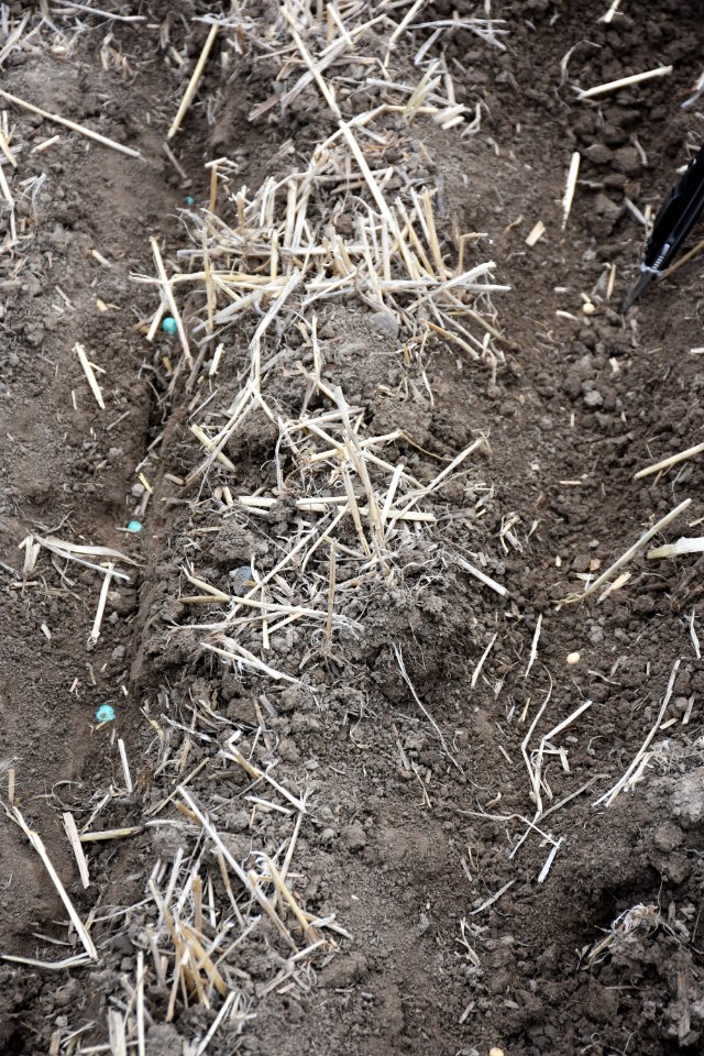 conservationtillage121