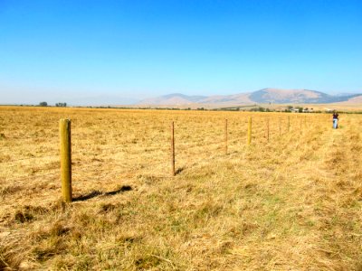 fence.jpg