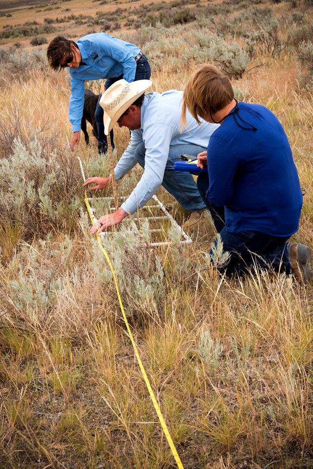5843 NRCS projects.jpg