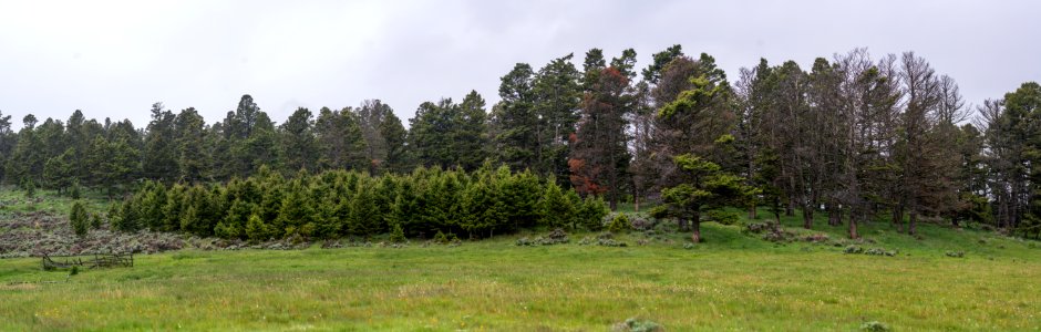 Jgibson Day3 0008  DSC7822-Pano