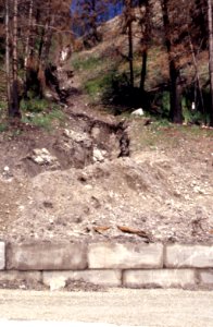 Natural Disasters15.tif