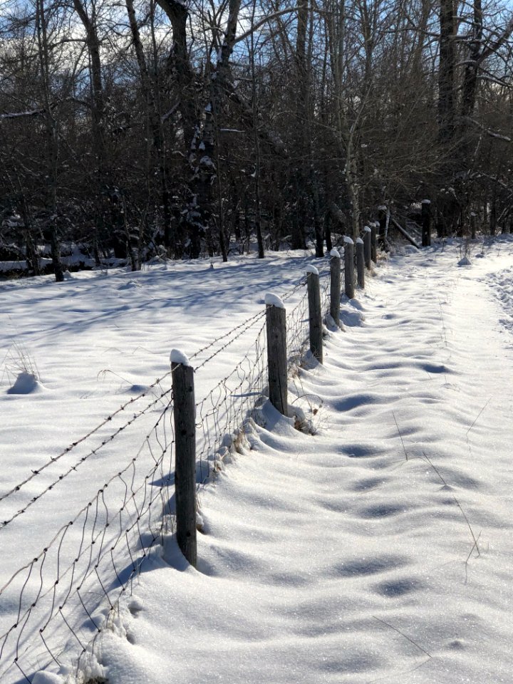 SNOW64