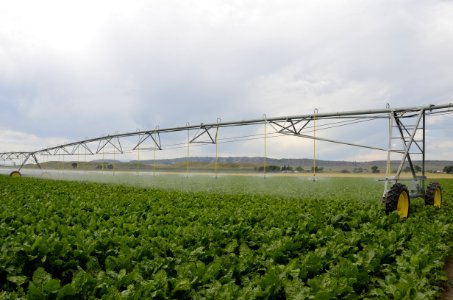 irrigation105