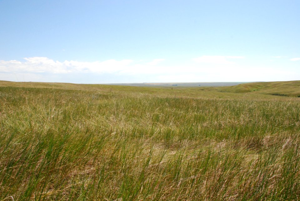 AmericanIndian113.jpg