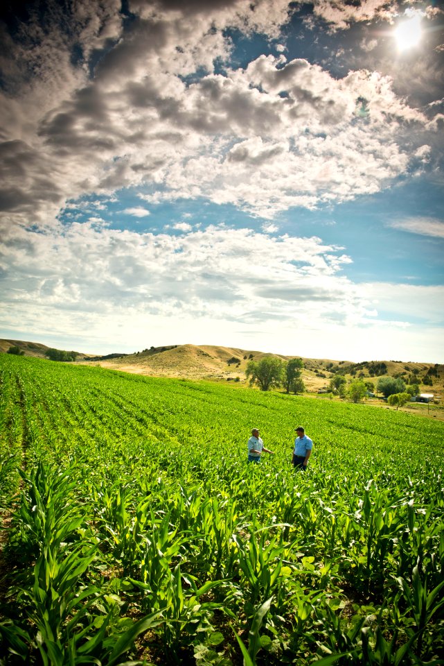 6554 NRCS projects.jpg