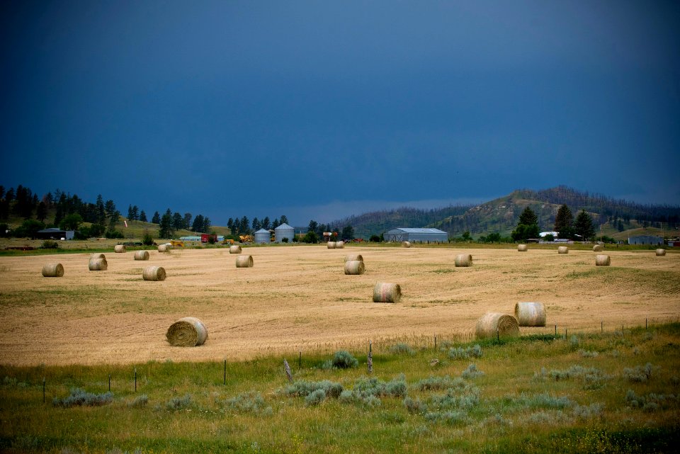 6425 NRCS projects.jpg