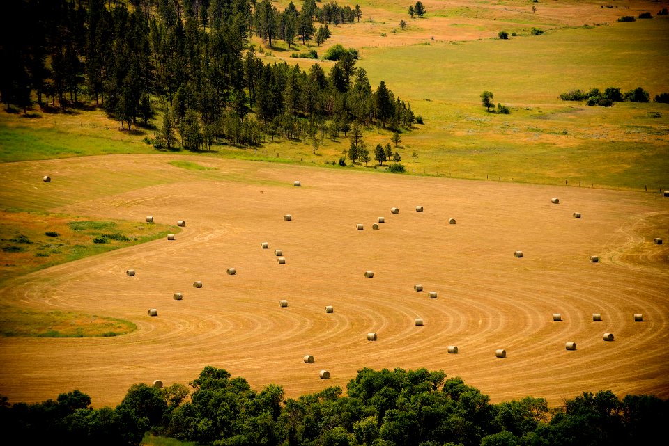 6485 NRCS projects.jpg