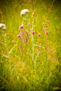 5282 NRCS projects