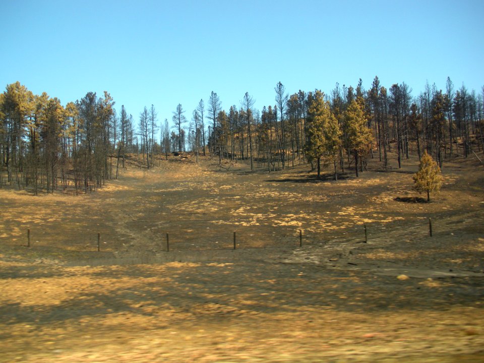 Fire25