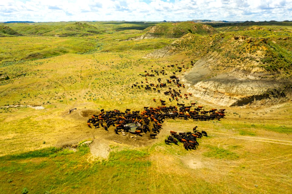 Jgibson Day9 0023 DJI 0966