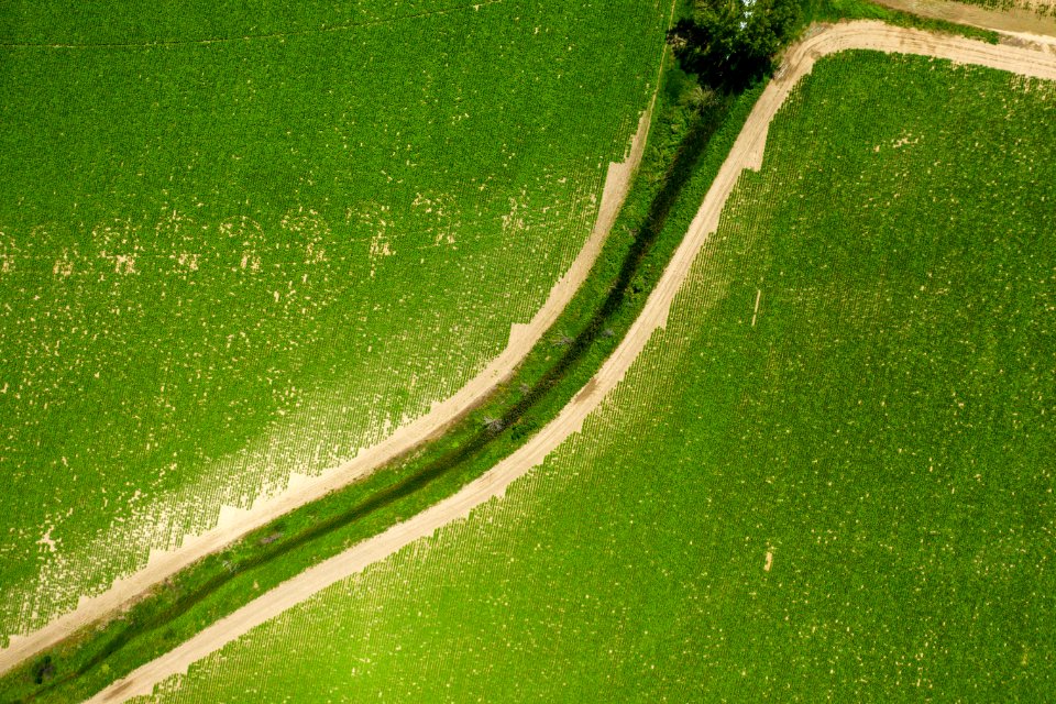 Jgibson Day6 0134 DJI 0814