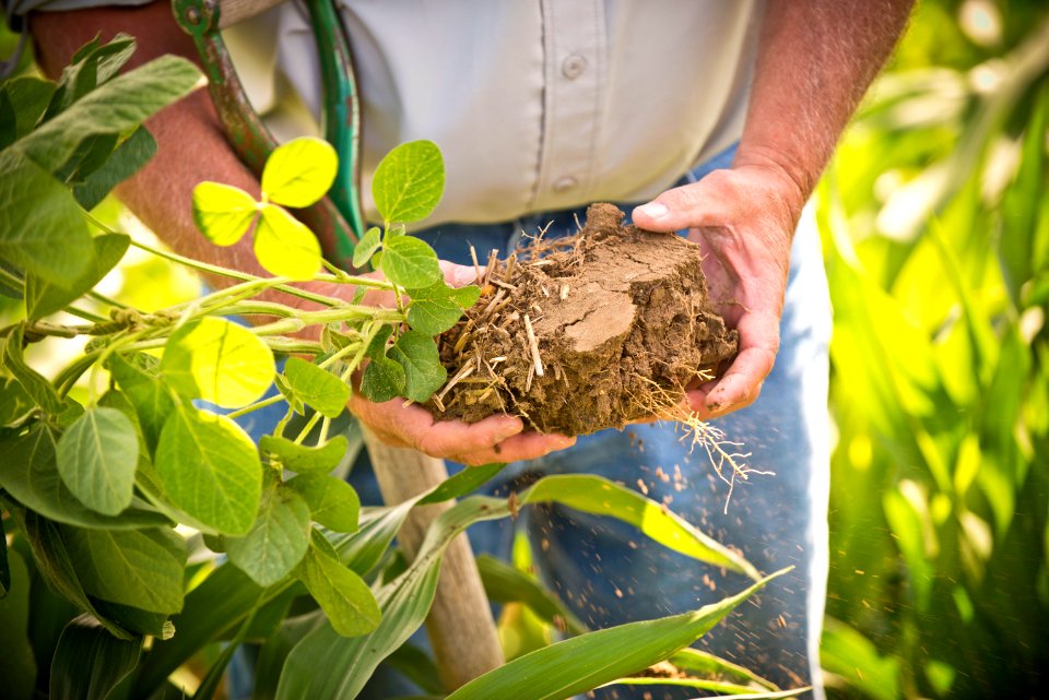 6582 NRCS projects.jpg