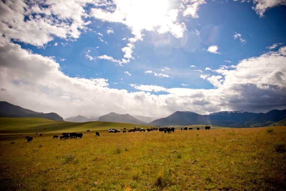 3509 NRCS projects