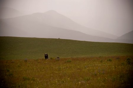 3464 NRCS projects