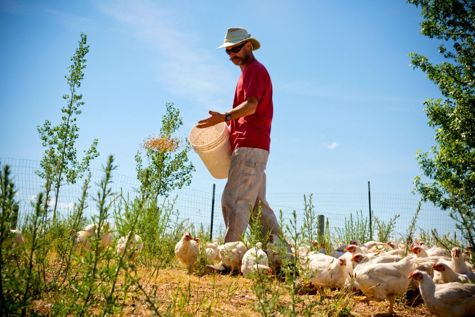1976 NRCS projects