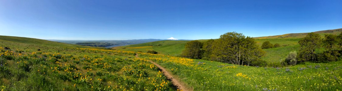 Dalles Mountain Ranch at Columbia Hills in WA