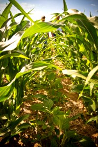 6685 NRCS projects.jpg