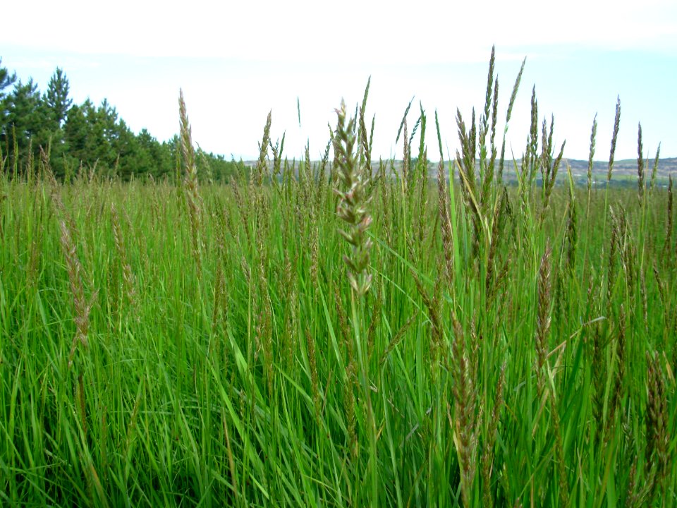 Plant Materials Center61