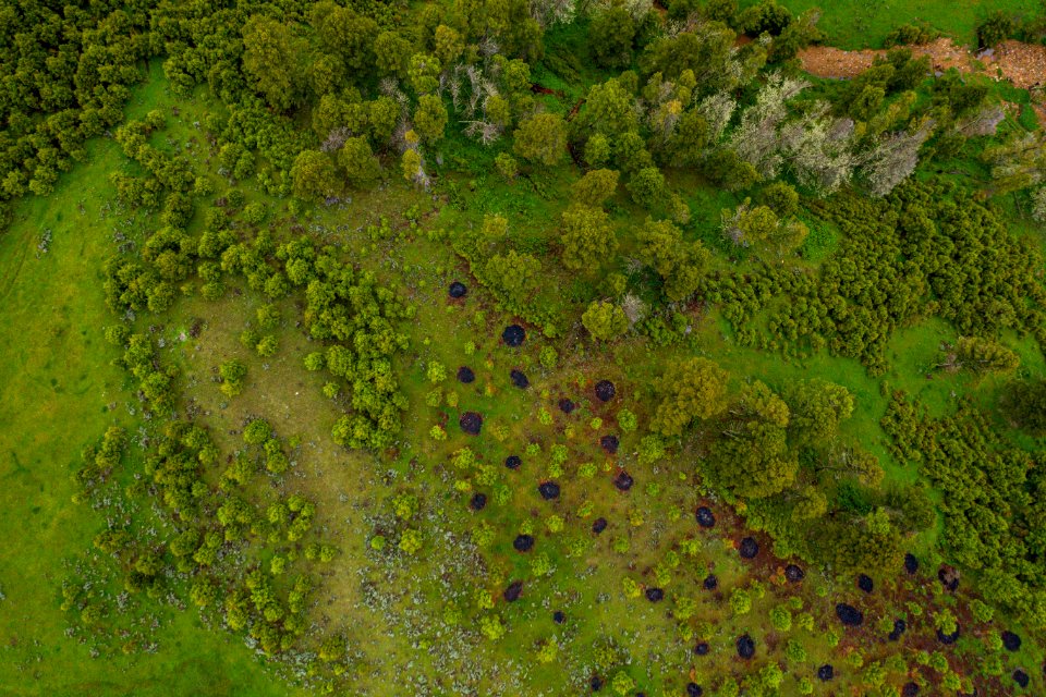 Jgibson Day3 0059 DJI 0638