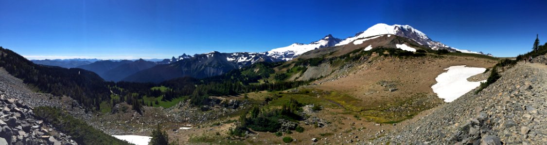 Mt. Rainier NP in WA