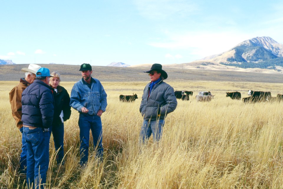 Rangeland06.tif
