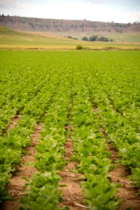 4171 NRCS projects