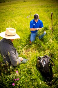 5287 NRCS projects
