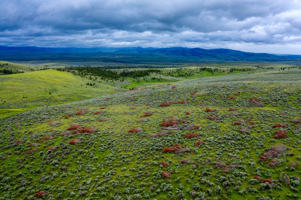 Jgibson Day3 0089 DJI 0665