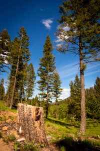 1116 NRCS projects