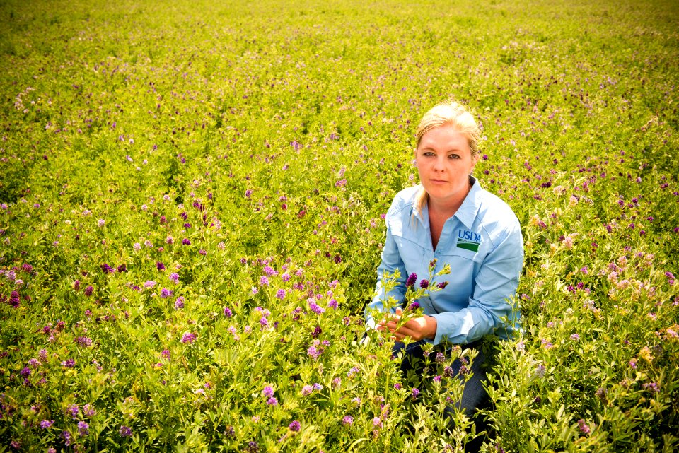 2999 NRCS projects