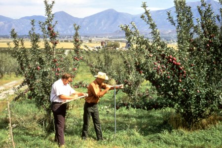 Soil Survey65.tif photo