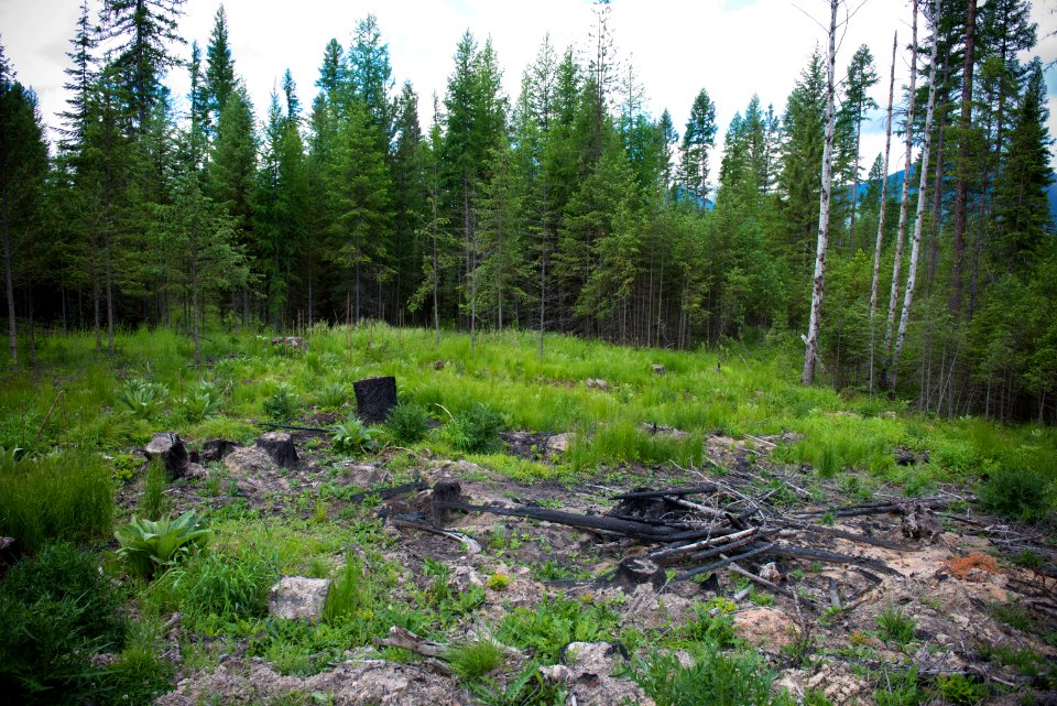 2866 NRCS projects