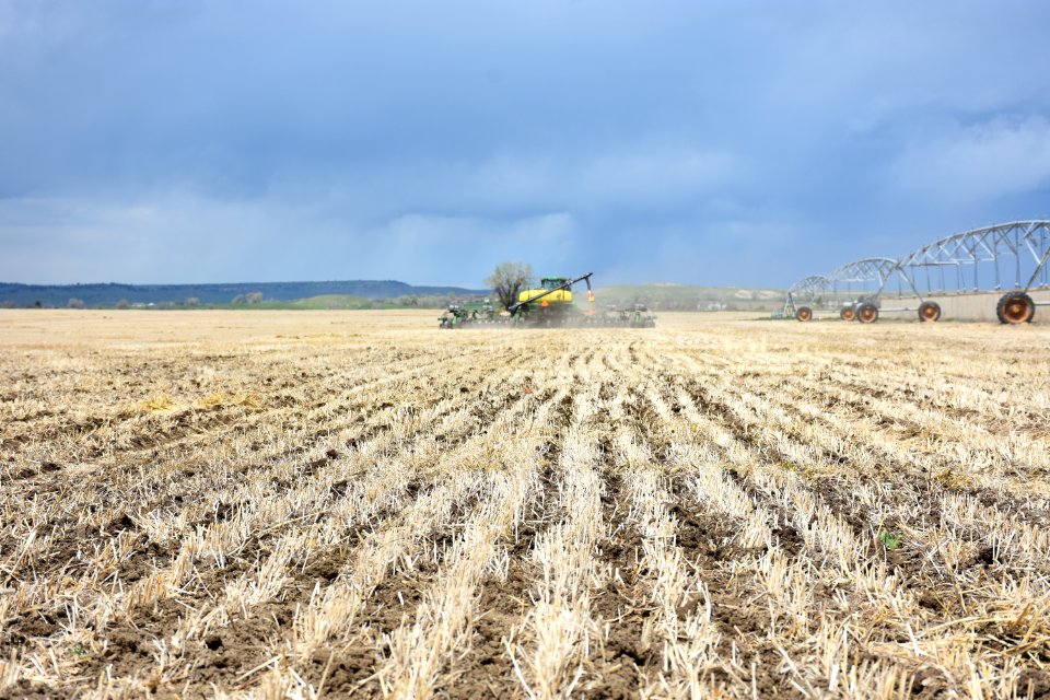 conservationtillage93