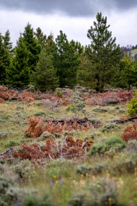 Jgibson Day3 0083  DSC8107
