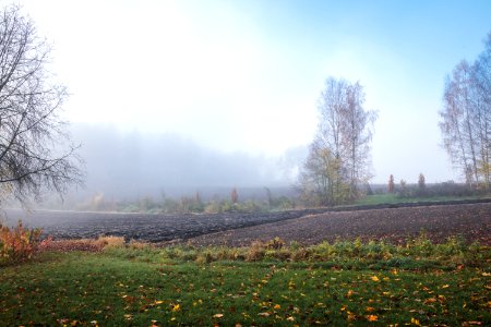 Mustiala, Tammela, Finland