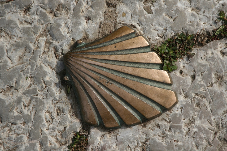 Spain jakobsweg scallop