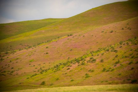 2324 NRCS projects.jpg