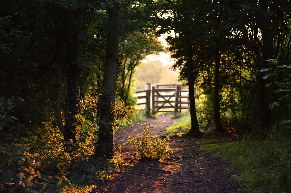Sunshine shadow landscape
