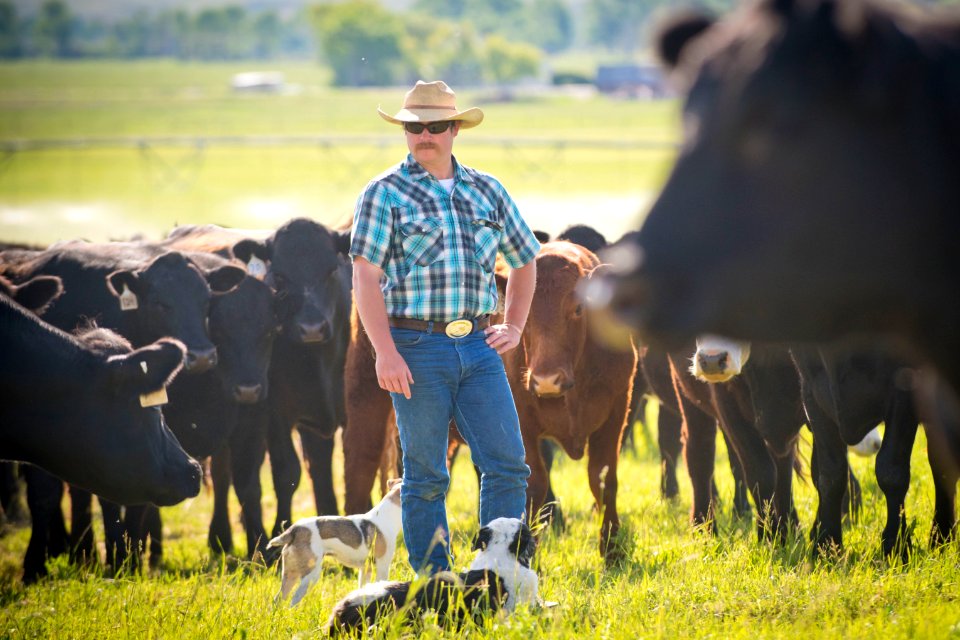 1222 NRCS projects