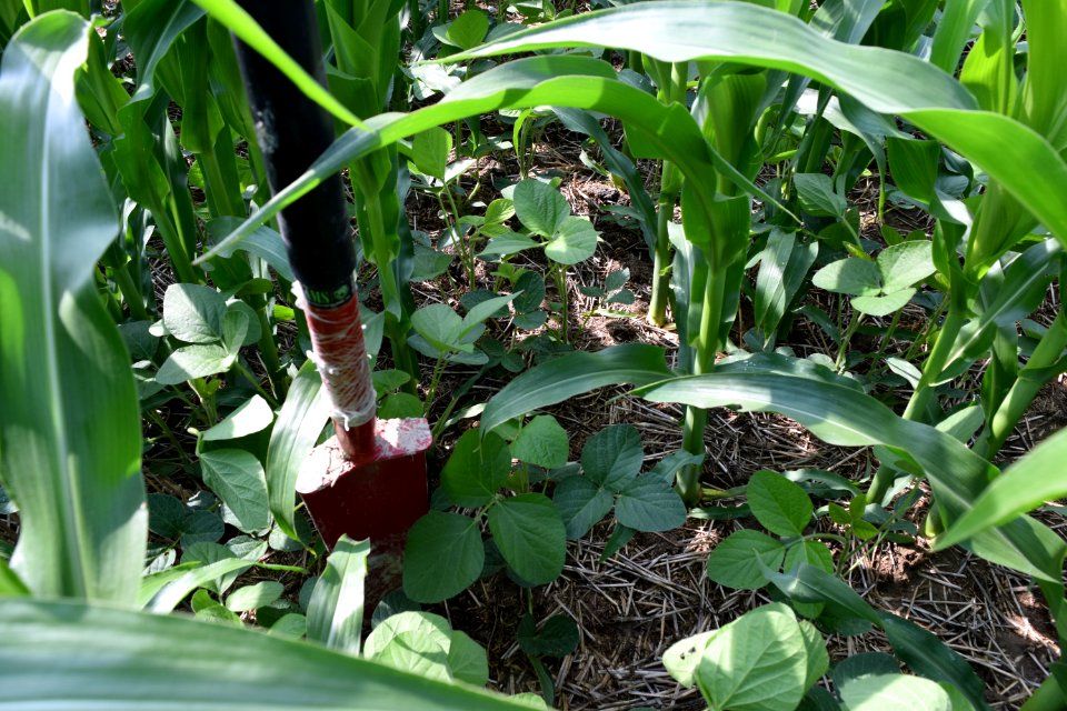 conservationtillage177