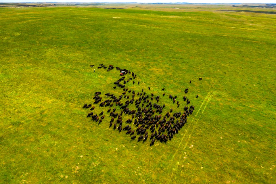 Jgibson Day7 0094 DJI 0867