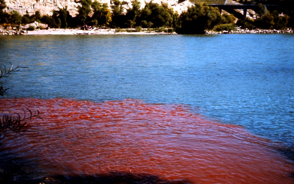 Pollution04.tif