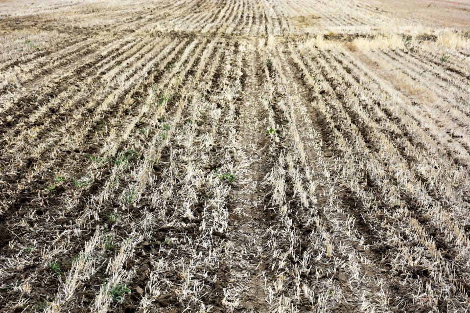 conservationtillage75