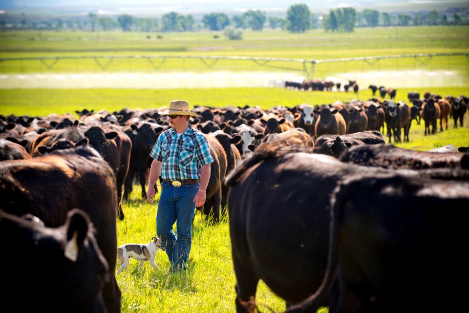 1233 NRCS projects