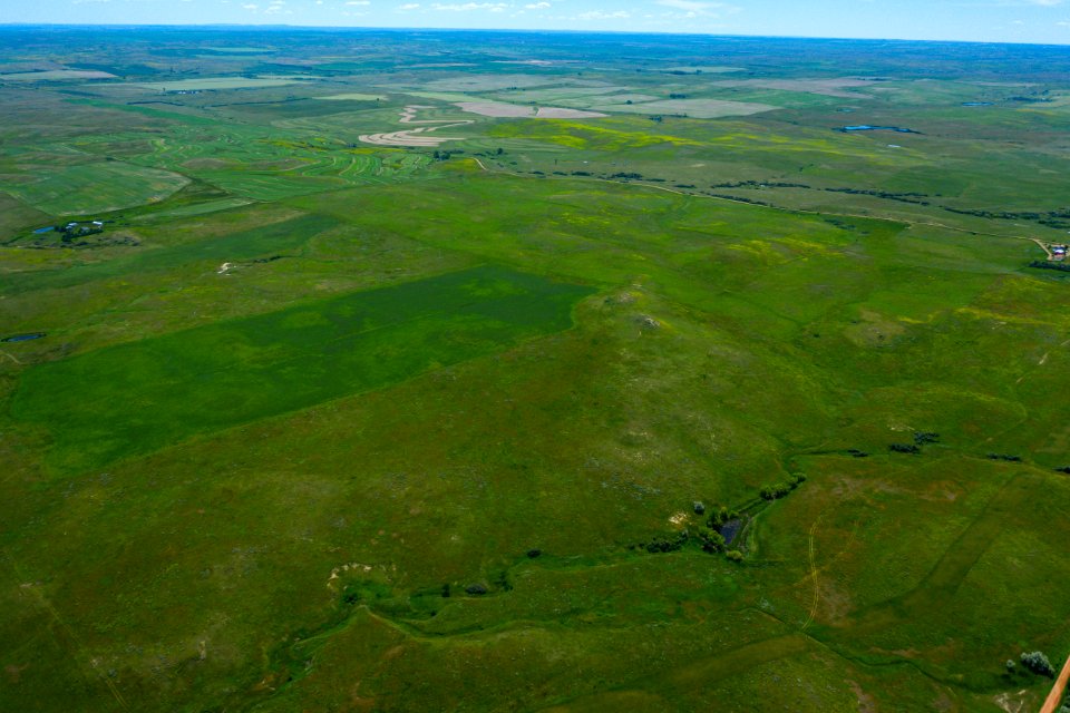 Jgibson Day8 0077 DJI 0914