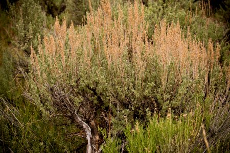 1677 NRCS projects
