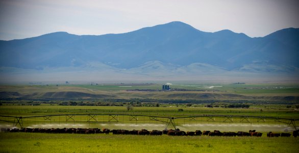 1193 NRCS projects